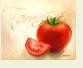 FVTomatoes2