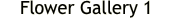 I am an exhibiting member